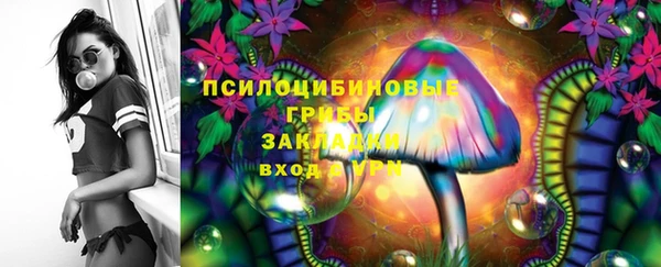 соль ск Чекалин