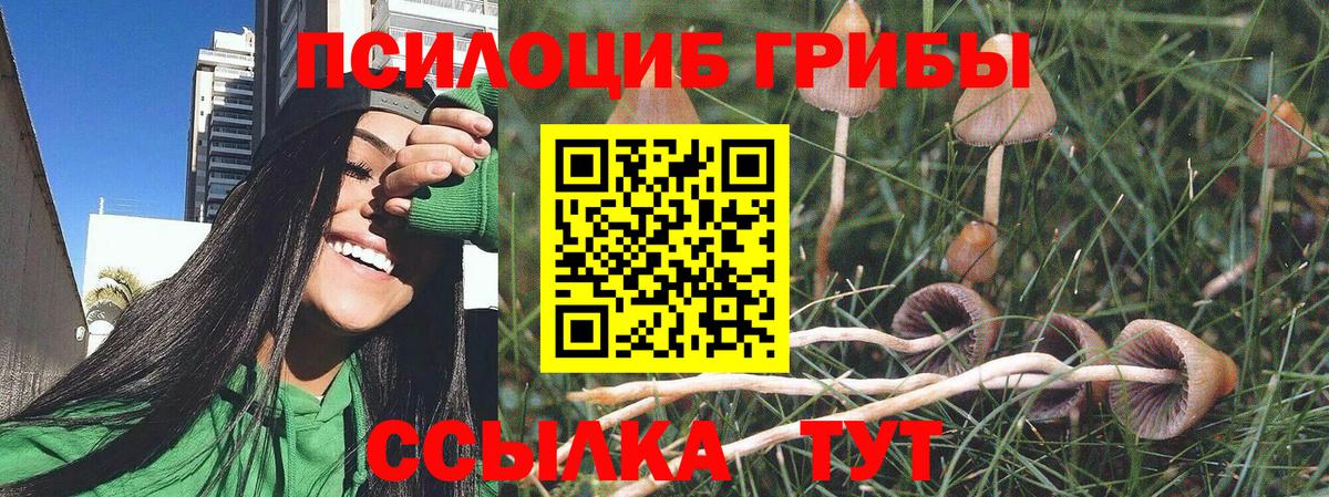 Галлюциногенные грибы прущие грибы Азнакаево